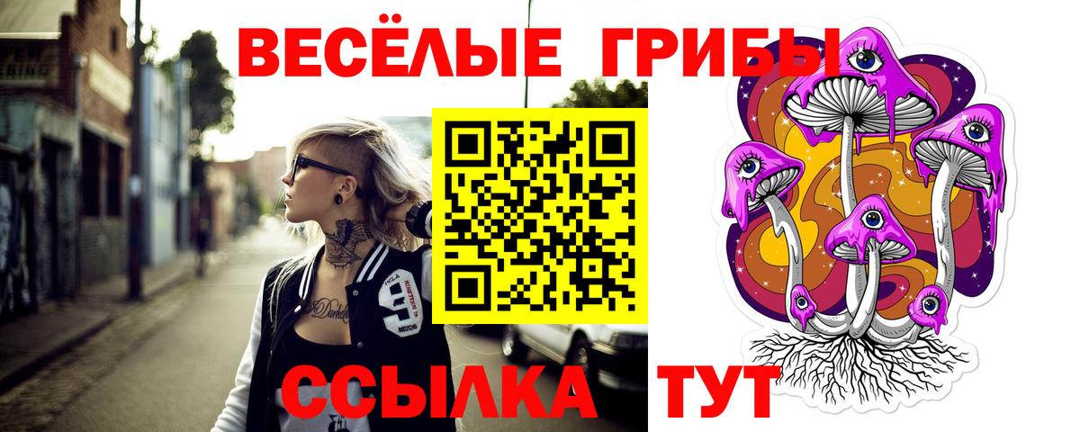 Орск  Псилоцибиновые грибы мухоморы  Вход с VPN 