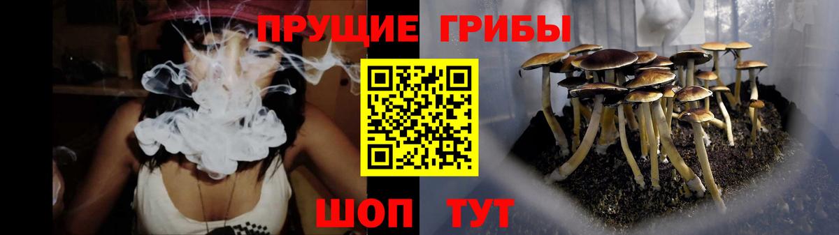 Псилоцибиновые грибы мухоморы Орск